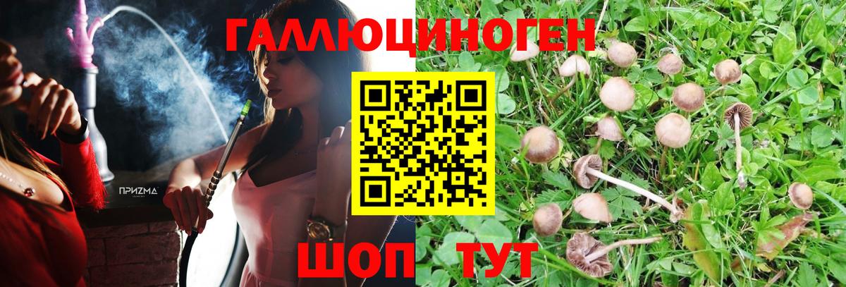 Галлюциногенные грибы Psilocybine cubensis  Псилоцибиновые грибы MAGIC MUSHROOMS  Серов  Вход с VPN 