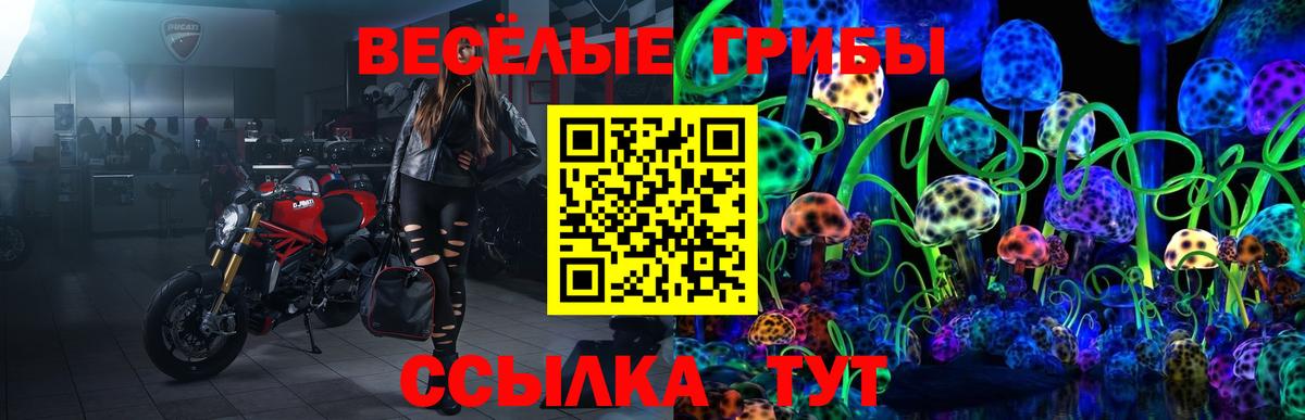 Псилоцибиновые грибы MAGIC MUSHROOMS Серов