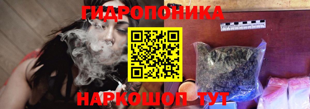 Бошки Шишки гибрид  Каннабис план  Серов  Шишки марихуана OG Kush  Вход с VPN  Марихуана конопля 